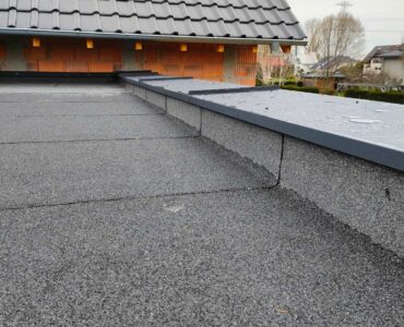 Dach plaski – Bierkowice