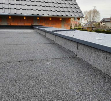 Dach plaski – Bierkowice